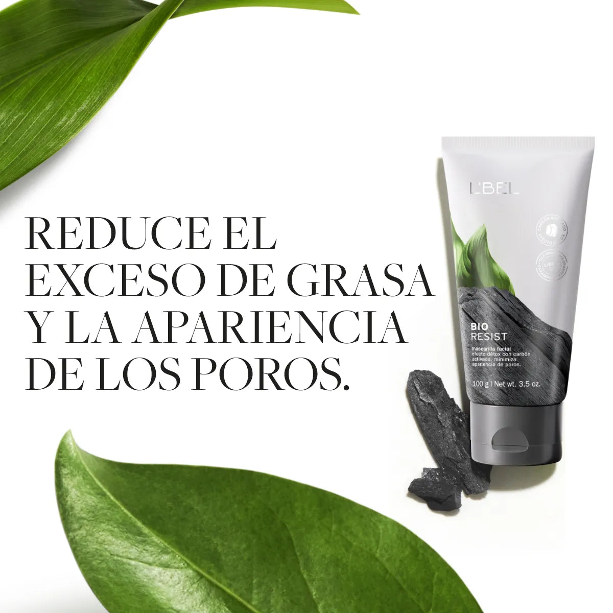 Bio Resist Mascarilla Facial Détox 100g