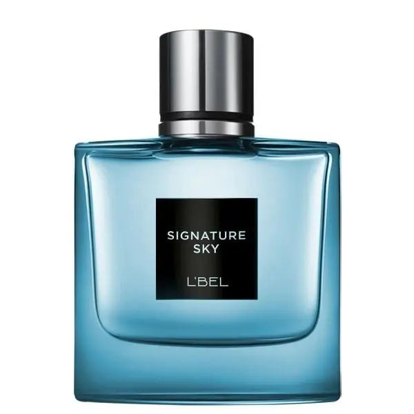 SIGNATURE SKY 100ML
