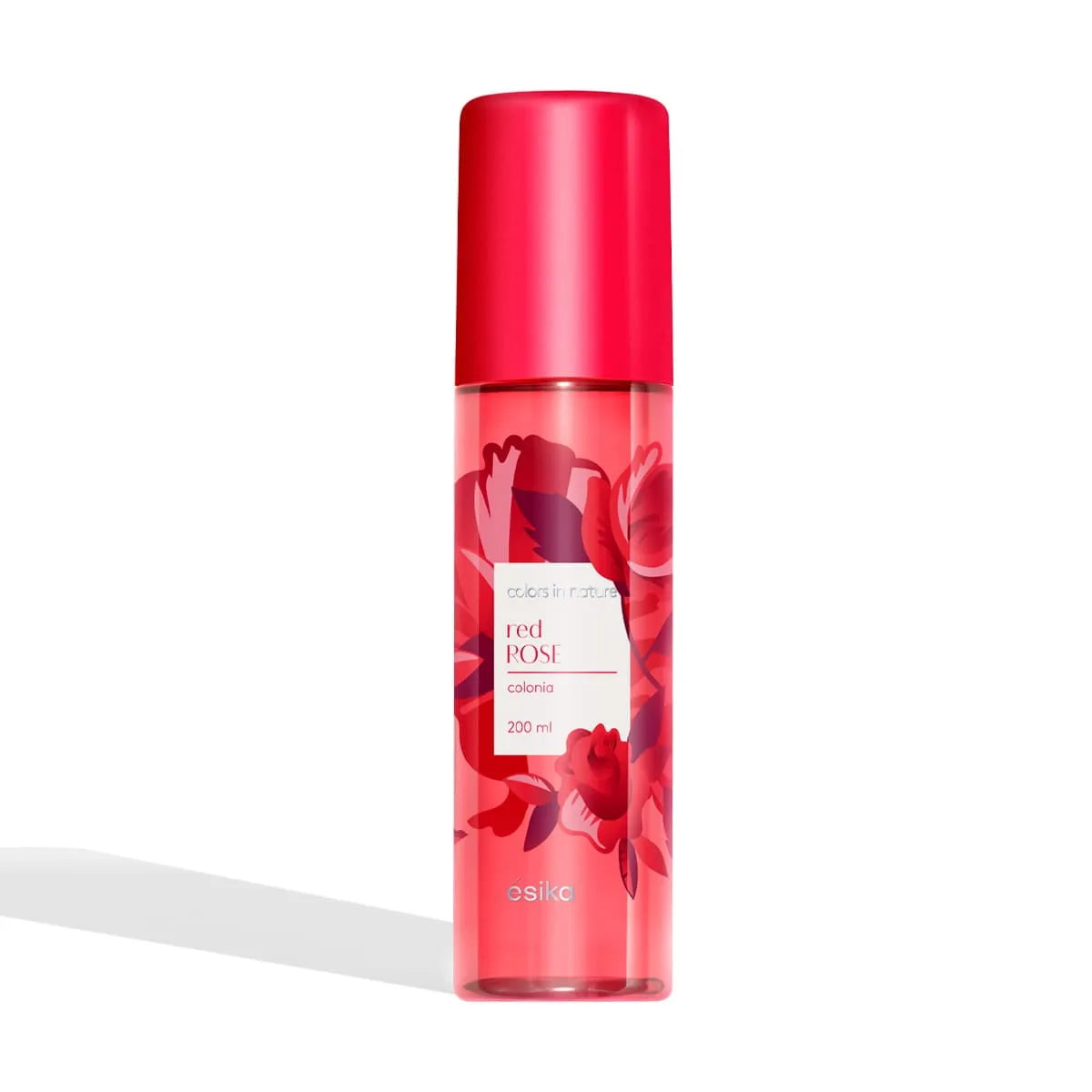 SPLASH RED ROSE